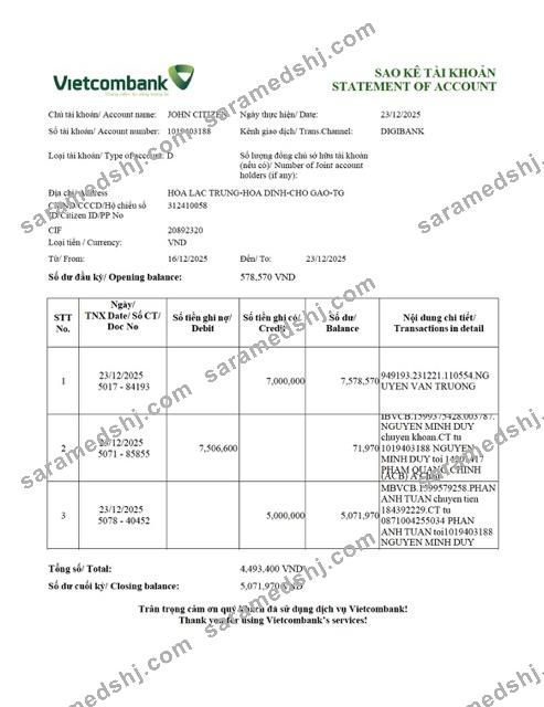 Vietnam Vietcombank statement of account Word and PDF template, version 2